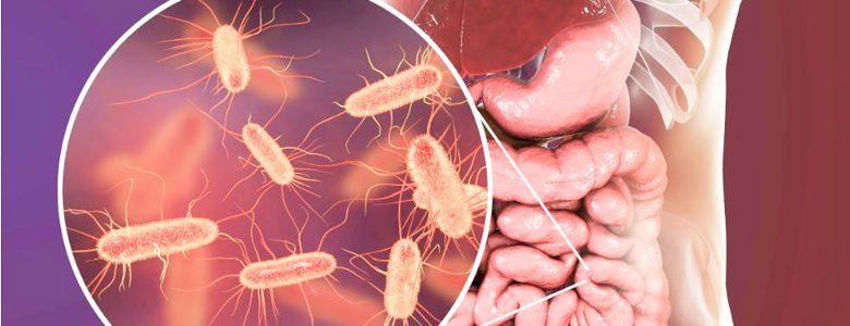 microbiota